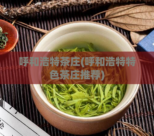 呼和浩特茶庄(呼和浩特特色茶庄推荐)