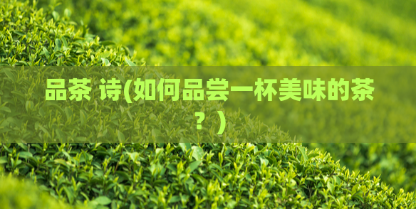 品茶 诗(如何品尝一杯美味的茶?)