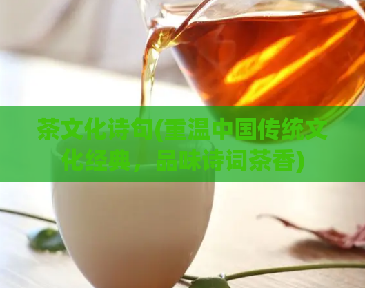 茶文化诗句(重温中国传统文化经典，品味诗词茶香)