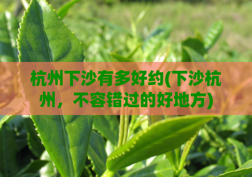 杭州下沙有多好约(下沙杭州，不容错过的好地方)