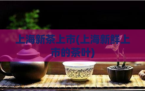 上海新茶上市(上海新鲜上市的茶叶)