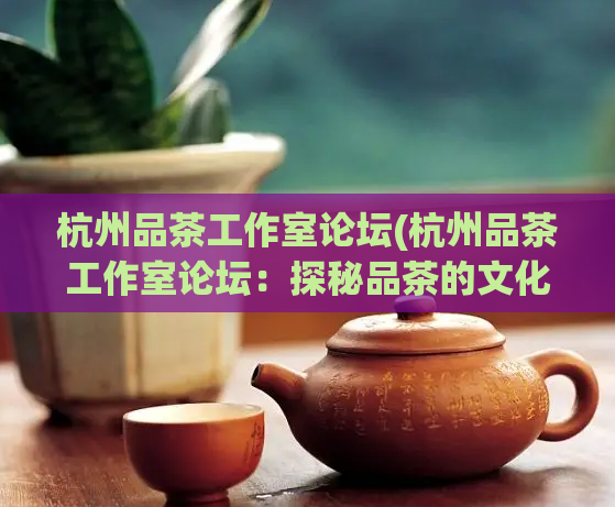 杭州品茶工作室论坛(杭州品茶工作室论坛:探秘品茶的文化精髓)