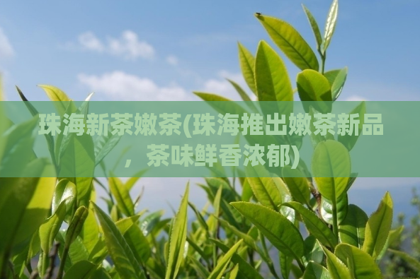珠海新茶嫩茶(珠海推出嫩茶新品，茶味鲜香浓郁)