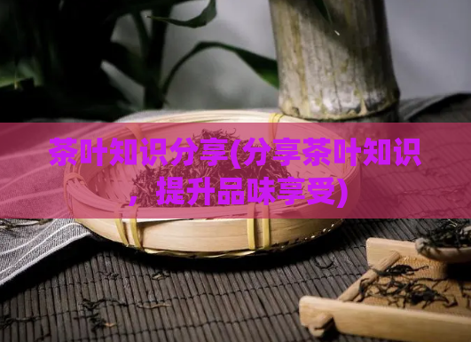 茶叶知识分享(分享茶叶知识，提升品味享受)
