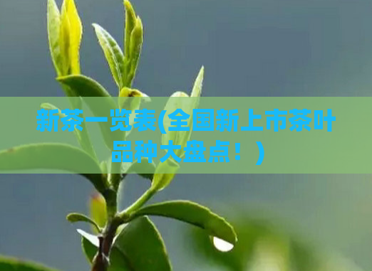 新茶一览表(全国新上市茶叶品种大盘点！)