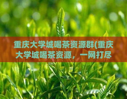 重庆大学城喝茶资源群(重庆大学城喝茶资源，一网打尽！)