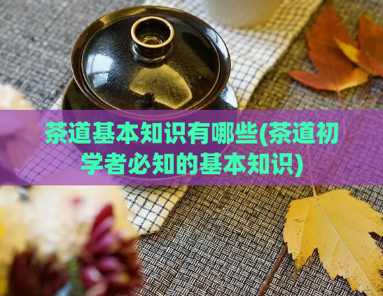 茶道基本知识有哪些(茶道初学者必知的基本知识)