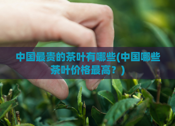 中国最贵的茶叶有哪些(中国哪些茶叶价格最高？)
