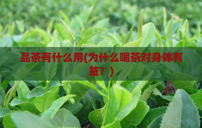 品茶有什么用(为什么喝茶对身体有益?)
