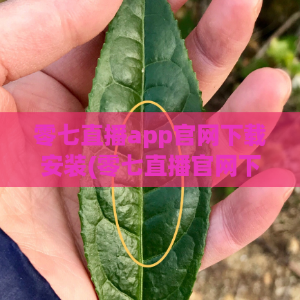 零七直播app官网下载安装(零七直播官网下载安装方法,让您畅享直播乐趣)