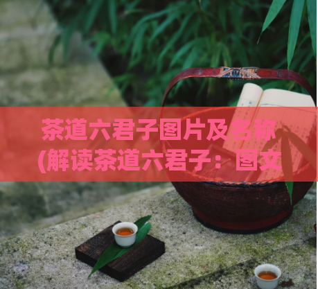 茶道六君子图片及名称(解读茶道六君子:图文并茂,了解各自背后的文化内涵)