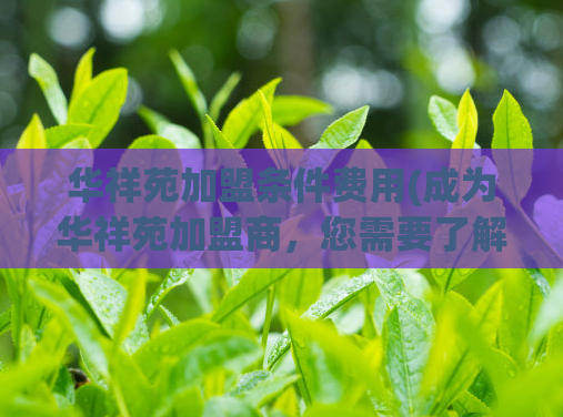 华祥苑加盟条件费用(成为华祥苑加盟商，您需要了解的条件和费用)