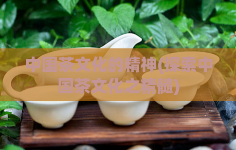 中国茶文化的精神(探索中国茶文化之精髓)
