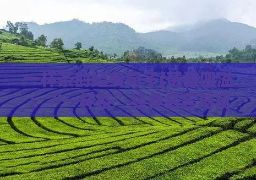 一杯茶的经典句子(茶香四溢：“一杯茶”经典名言与寓意)