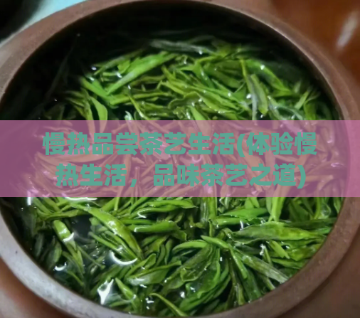 慢热品尝茶艺生活(体验慢热生活,品味茶艺之道)