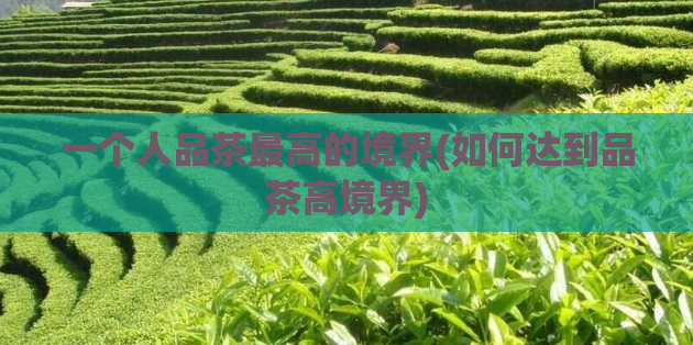 一个人品茶最高的境界(如何达到品茶高境界)