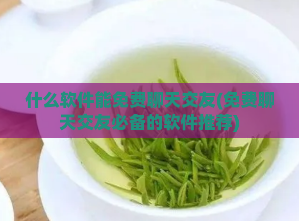 什么软件能免费聊天交友(免费聊天交友必备的软件推荐)
