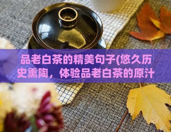 品老白茶的精美句子(悠久历史熏陶，体验品老白茶的原汁原味)