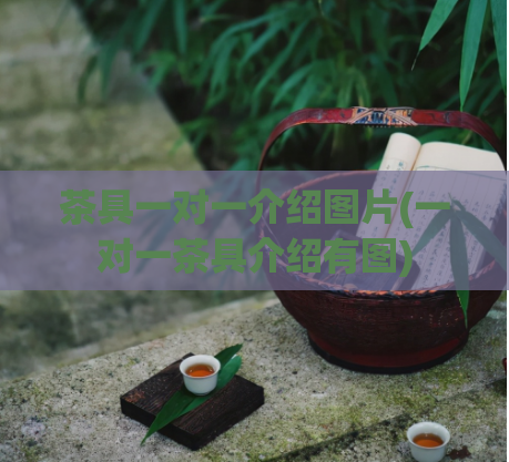 茶具一对一介绍图片(一对一茶具介绍有图)