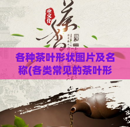 各种茶叶形状图片及名称(各类常见的茶叶形状及命名,一网打尽!)