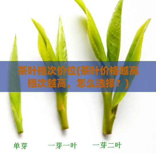 茶叶档次价位(茶叶价格越高档次越高,怎么选择?)