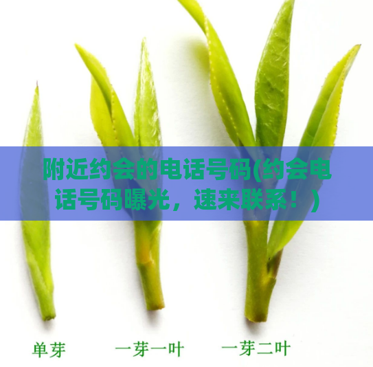 附近约会的电话号码(约会电话号码曝光,速来联系!)
