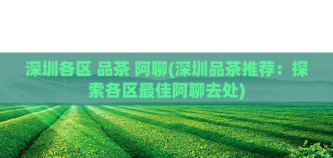 深圳各区 品茶 阿聊(深圳品茶推荐:探索各区最佳阿聊去处)