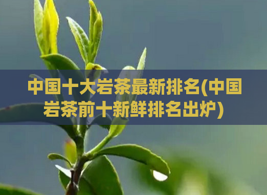 中国十大岩茶最新排名(中国岩茶前十新鲜排名出炉)