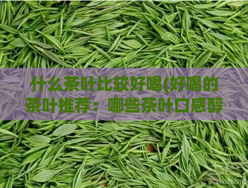 什么茶叶比较好喝(好喝的茶叶推荐：哪些茶叶口感醇厚，值得一试？)