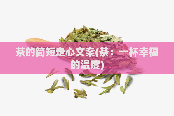 茶的简短走心文案(茶：一杯幸福的温度)