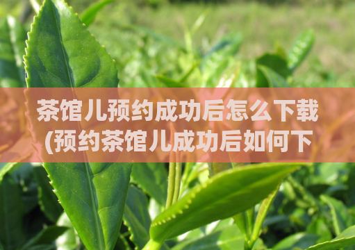 茶馆儿预约成功后怎么下载(预约茶馆儿成功后如何下载？)
