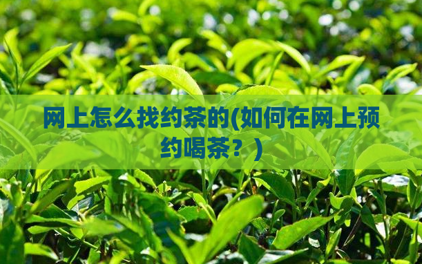 网上怎么找约茶的(如何在网上预约喝茶？)