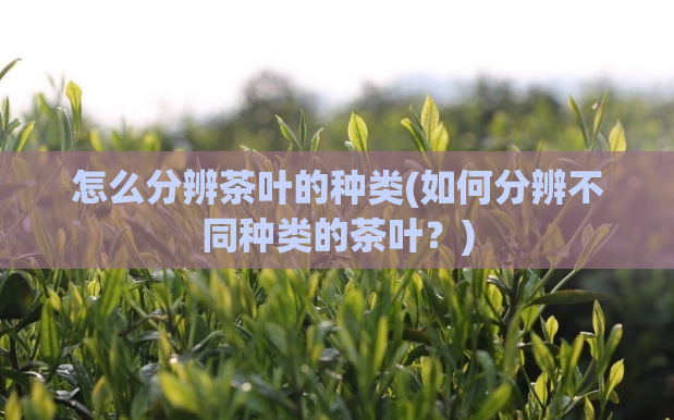 怎么分辨茶叶的种类(如何分辨不同种类的茶叶？)