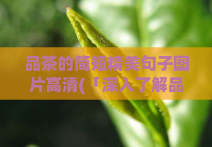品茶的简短精美句子图片高清(「深入了解品茶：让你轻松拥有纯净茶韵」)
