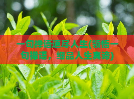 一句禅语道尽人生(领悟一句禅语，细品人生真谛)