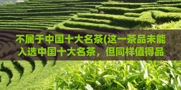 不属于中国十大名茶(这一茶品未能入选中国十大名茶,但同样值得品尝!)