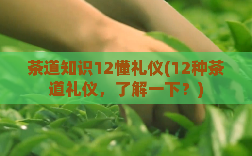 茶道知识12懂礼仪(12种茶道礼仪，了解一下？)