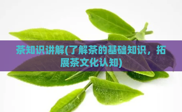 茶知识讲解(了解茶的基础知识，拓展茶文化认知)