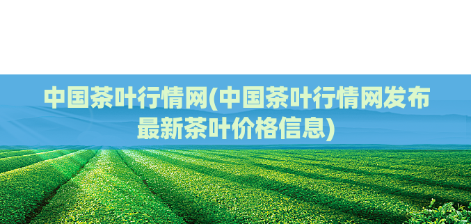 中国茶叶行情网(中国茶叶行情网发布最新茶叶价格信息)