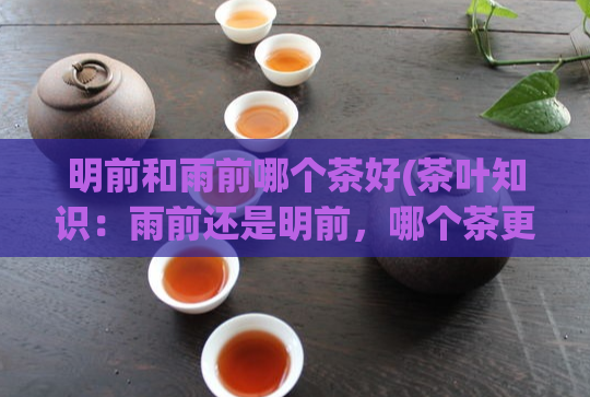 明前和雨前哪个茶好(茶叶知识:雨前还是明前,哪个茶更好?)