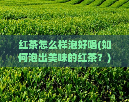 红茶怎么样泡好喝(如何泡出美味的红茶?)