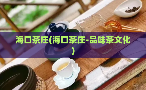 海口茶庄(海口茶庄-品味茶文化)