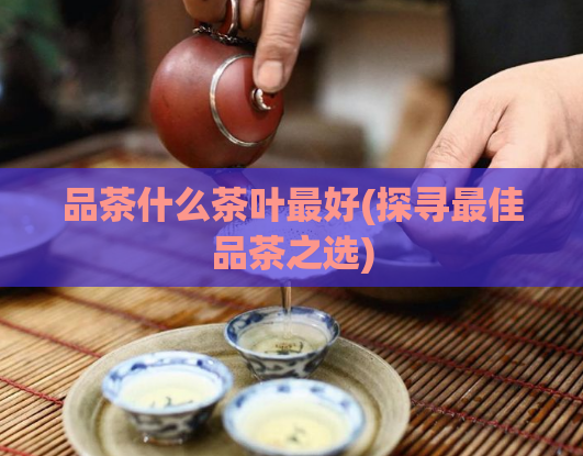 品茶什么茶叶最好(探寻最佳品茶之选)
