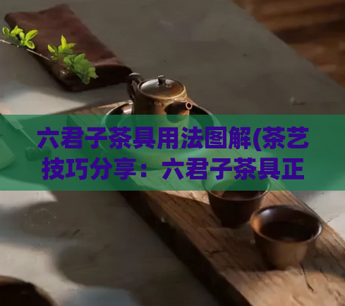 六君子茶具用法图解(茶艺技巧分享:六君子茶具正确使用方法)