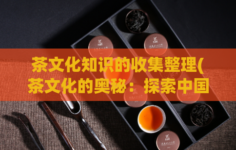 茶文化知识的收集整理(茶文化的奥秘：探索中国茶文化的深度与魅力。)