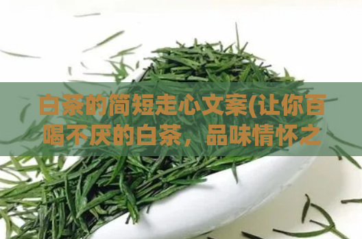 白茶的简短走心文案(让你百喝不厌的白茶,品味情怀之美!)