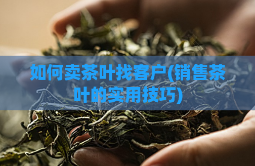 如何卖茶叶找客户(销售茶叶的实用技巧)