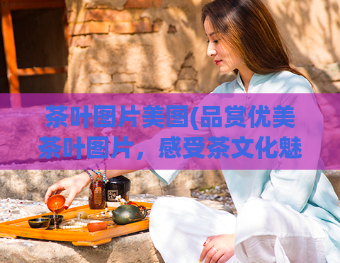 茶叶图片美图(品赏优美茶叶图片，感受茶文化魅力)