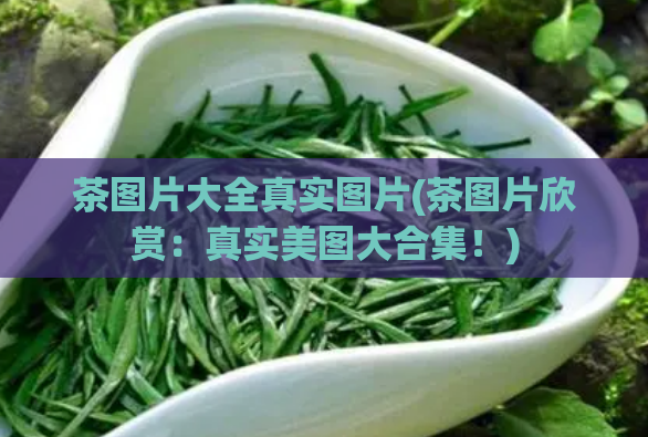 茶图片大全真实图片(茶图片欣赏:真实美图大合集!)
