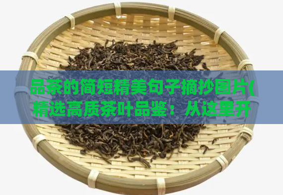 品茶的简短精美句子摘抄图片(精选高质茶叶品鉴：从这里开始！)